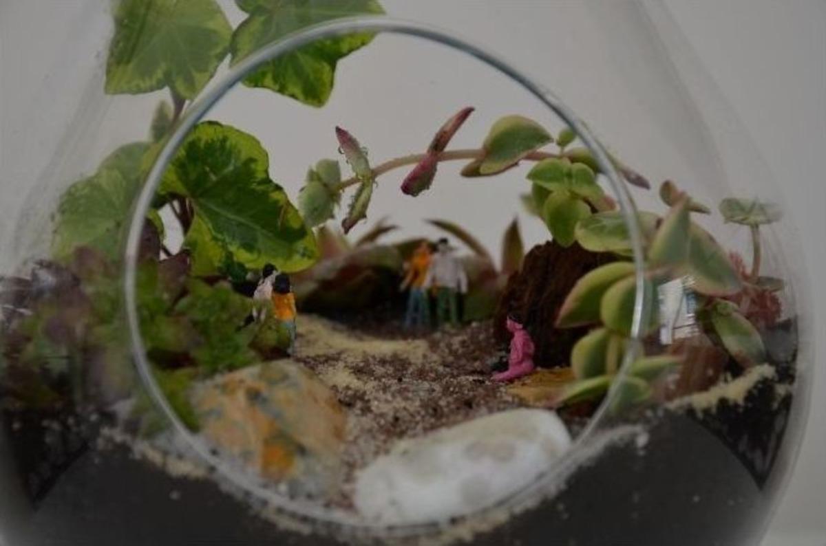 Hayaller, Meslekler Teraryumlarda