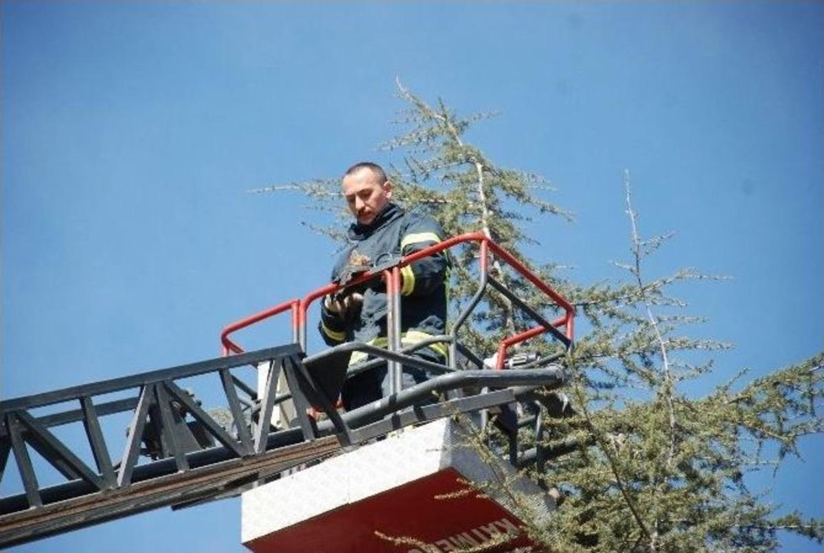 Tokat&rsquo;ta Kedi Kurtarma Operasyonu