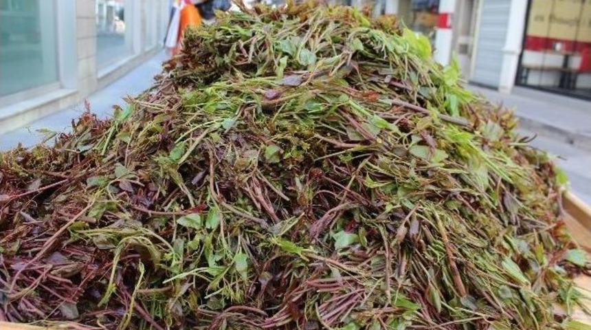 Diken Ucundan Tezgaha