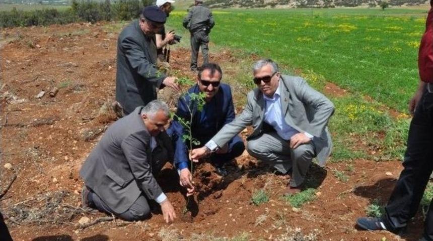 Korkuteli B&ouml;lge Trafik İstasyon Amirliğinden Hatıra Ormanı