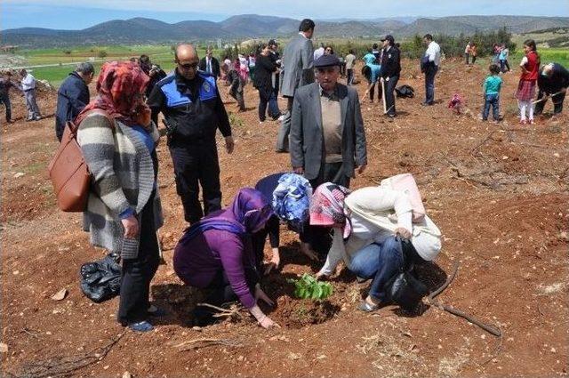 Korkuteli Bölge Trafik İstasyon Amirliğinden Hatıra Ormanı 1