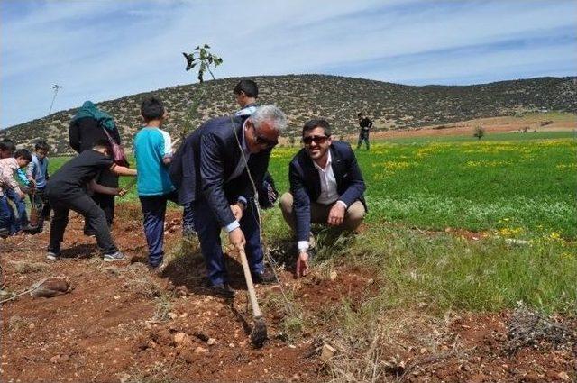 Korkuteli Bölge Trafik İstasyon Amirliğinden Hatıra Ormanı 2