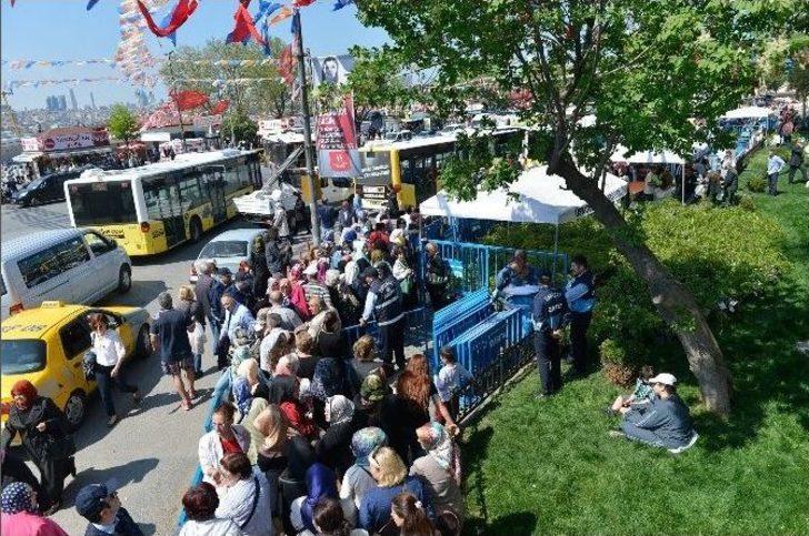 Üsküdar’da Mor Salkım Erguvan Ve Mimoza Şenliği G2