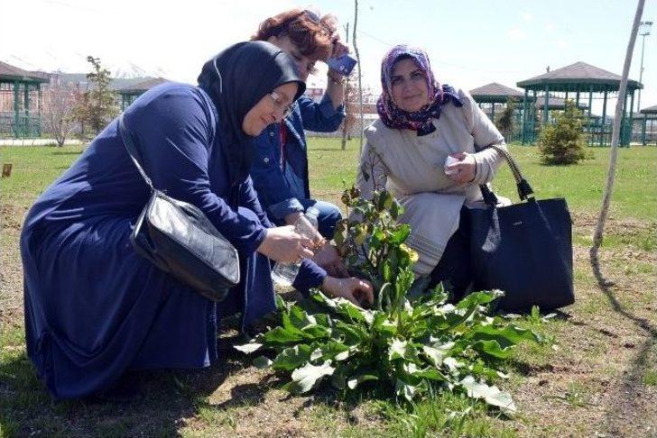Yakutiyeli Kadınların Hıdrellez Kutlaması G3