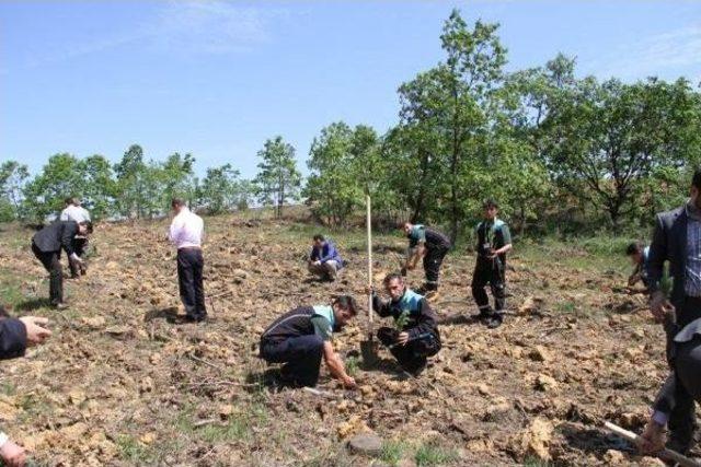 İstanbullu Sürücüler 100 Bin Fidan Dikecek