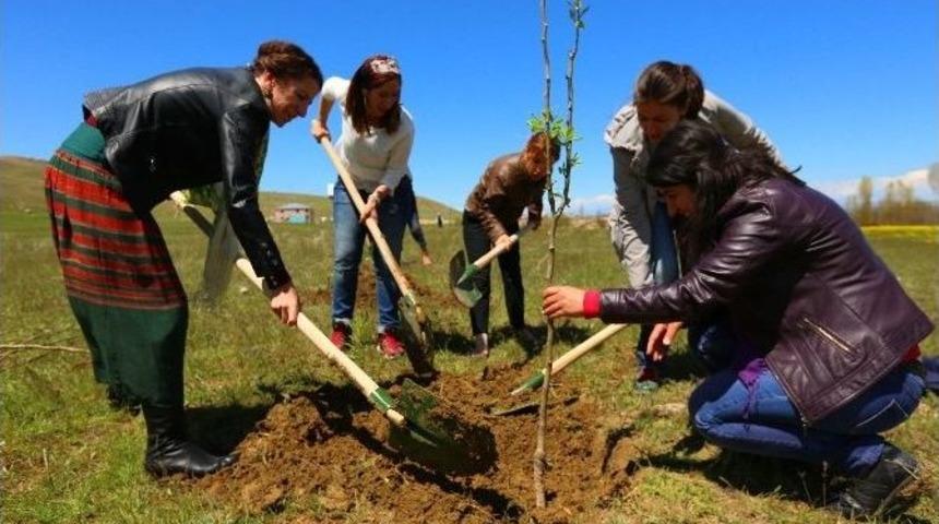 Edremit&rsquo;te Fidan Dikimi