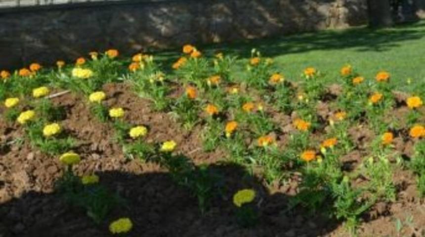 G&ouml;me&ccedil;&rsquo;te Parklar &Ccedil;i&ccedil;eklere B&uuml;r&uuml;n&uuml;yor