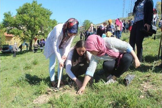 Başkan Özaltun Öğrencilerle Fidan Dikti