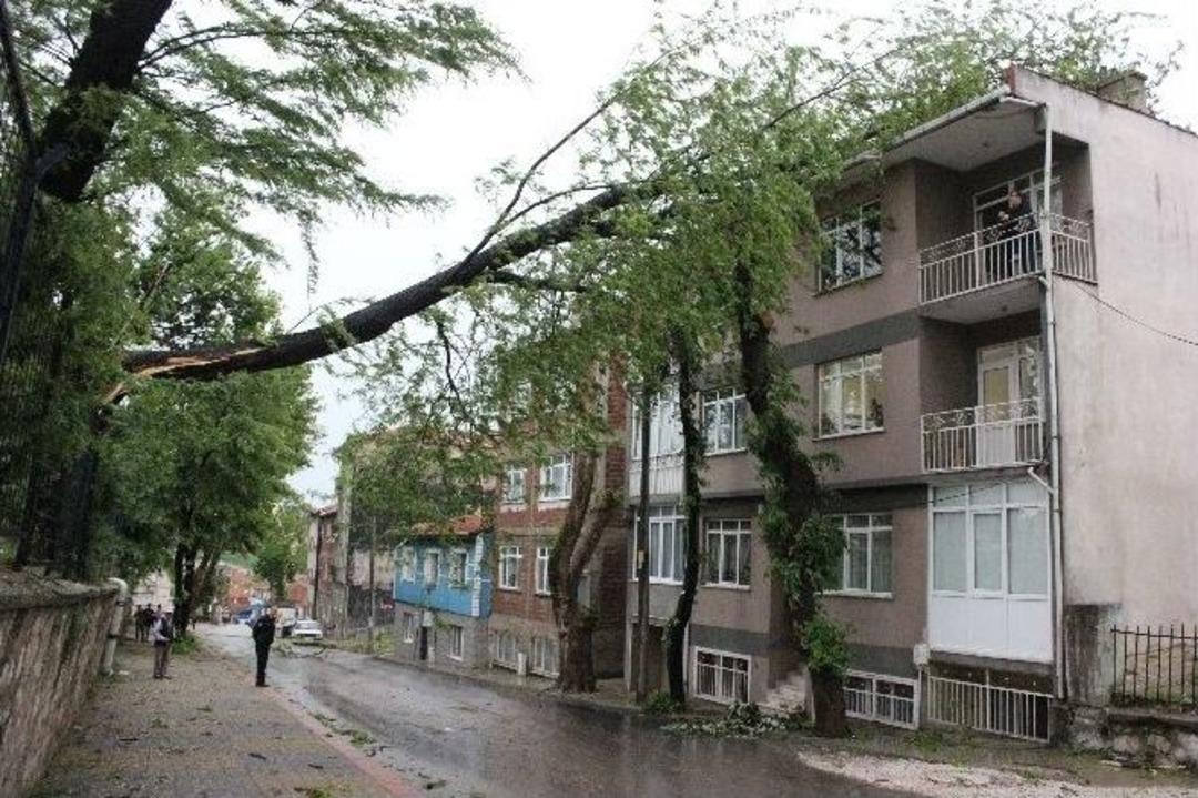 Edirne&rsquo;de Fırtına