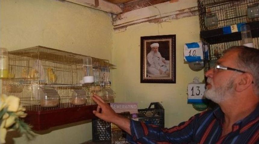 (&ouml;zel Haber) Kanarya Sesi İle Hayata Tutundu