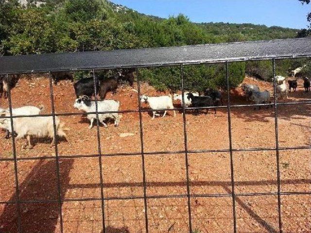 Urla Villalarında Gece Keşfi 1