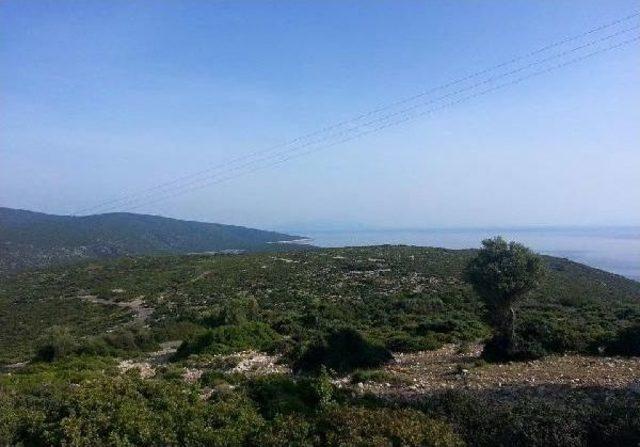 Urla Villalarında Gece Keşfi 2