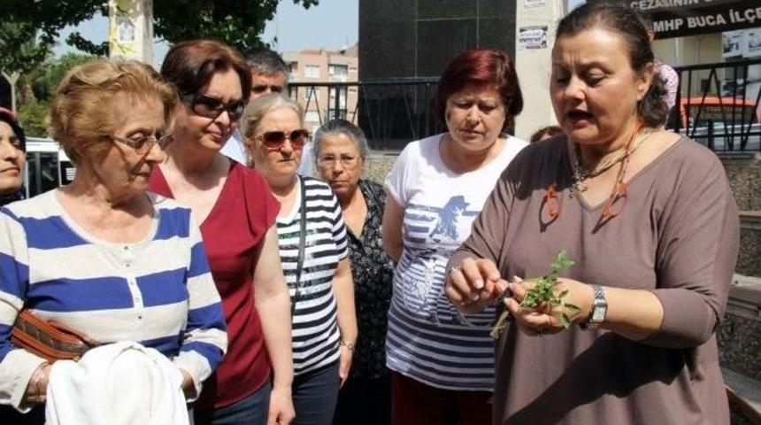 İzmir&rsquo;de Balkon Tarımı D&ouml;nemi