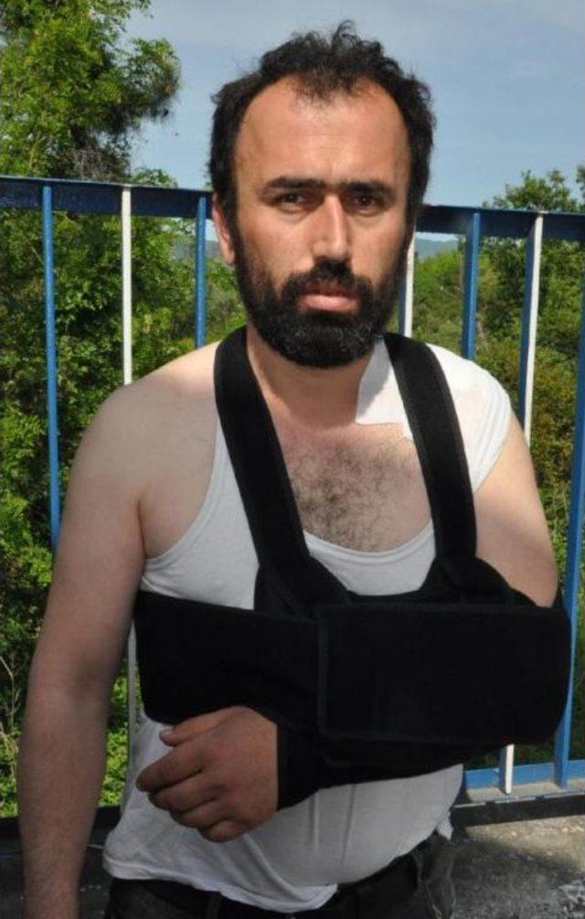 2 Ay &Ouml;nce Satın Aldığı Eşek Omuzunu Isırdı 1