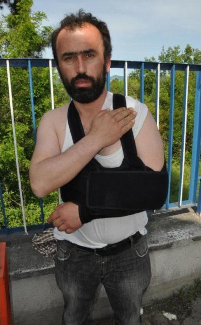 2 Ay &Ouml;nce Satın Aldığı Eşek Omuzunu Isırdı 2