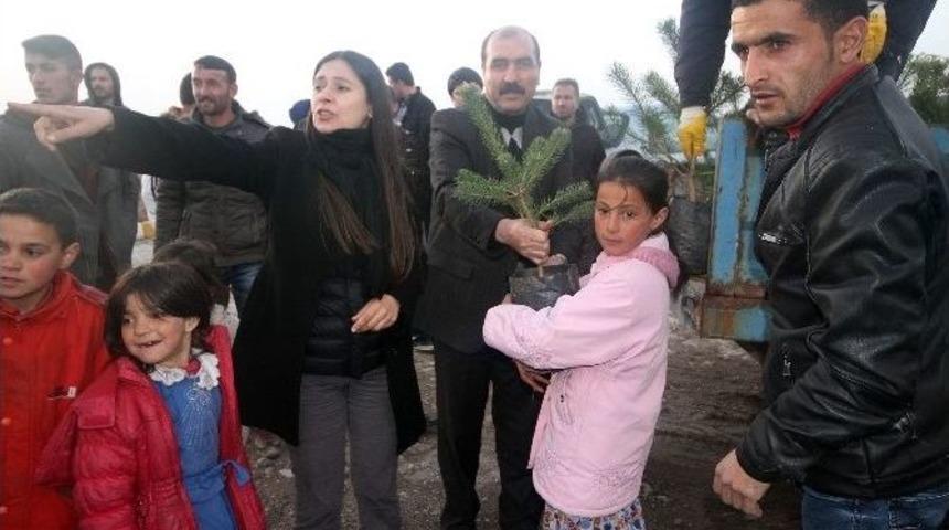 Diyadin Belediyesinden &Uuml;cretsiz Fidan Dağıtımı