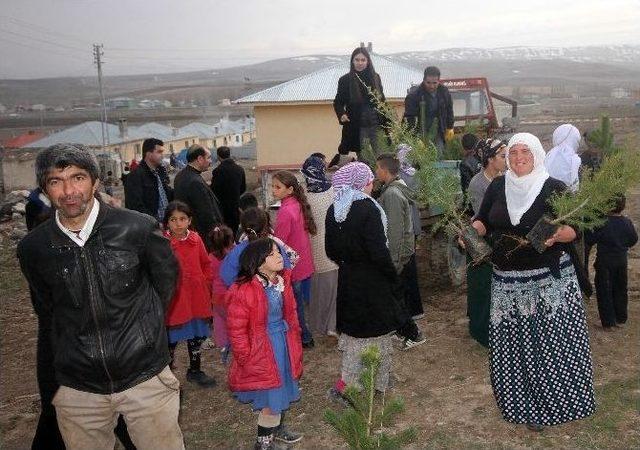 Diyadin Belediyesinden Ücretsiz Fidan Dağıtımı