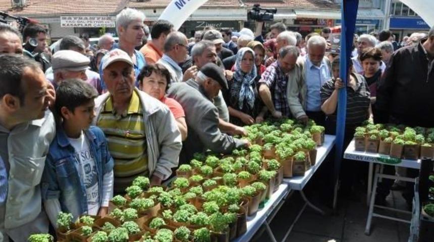 &Uuml;cretsiz Fesleğene H&uuml;cum