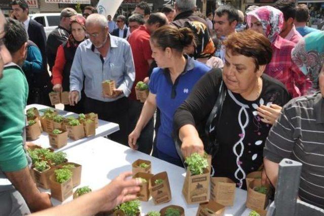 Ücretsiz Fesleğene Hücum