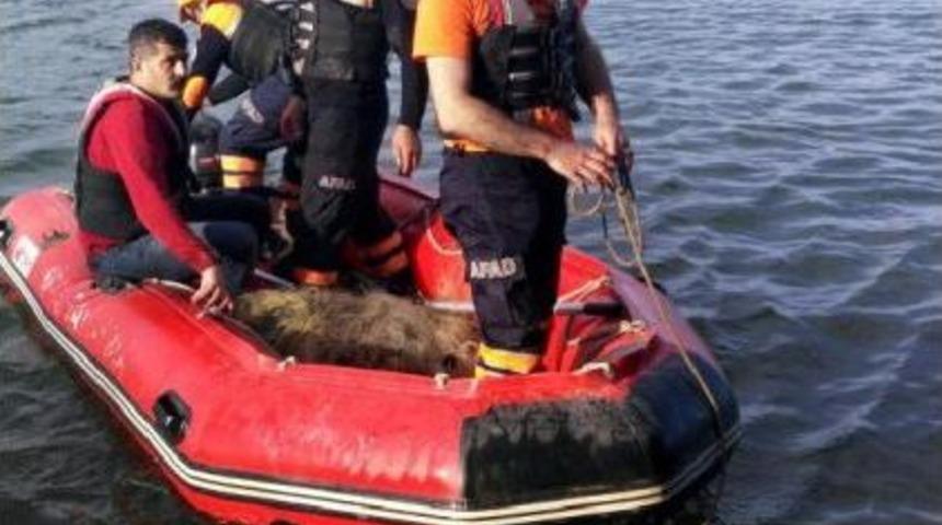 Ka&ccedil;ak Avcıların Baraj G&ouml;l&uuml;ne Attığı Ağlar Toplandı