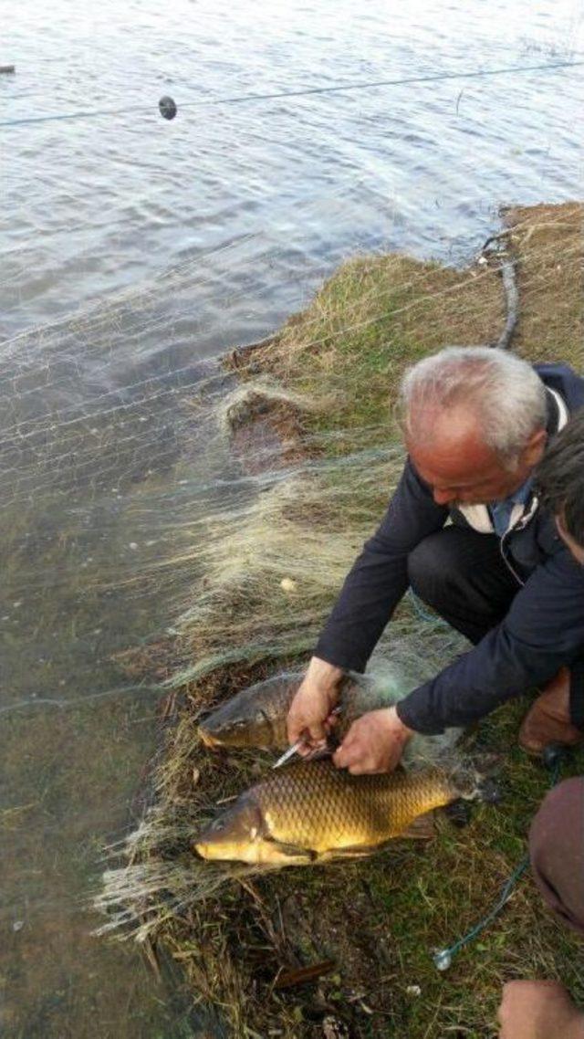 Kaçak Avcıların Baraj Gölüne Attığı Ağlar Toplandı