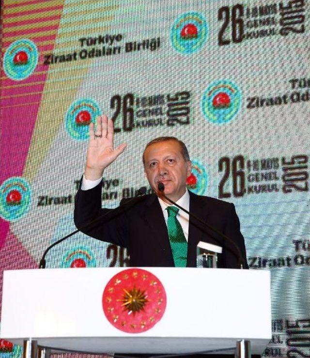 Cumhurbaşkanı Erdoğan : Kim Devlet Başkanı Olur Onu Ancak Rabbim Bilir, Allah Bilir