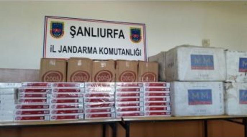 Şanlıurfa&rsquo;da 10 Bin Paket Ka&ccedil;ak Sigara Ele Ge&ccedil;irildi