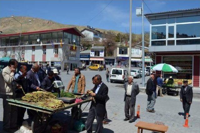 Dağda Yetişen Otlar Baharda Ekmek Kapısı Oldu