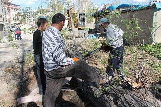 Yüksekova Belediyesi Yol Çalışmalarına Devam Ediyor