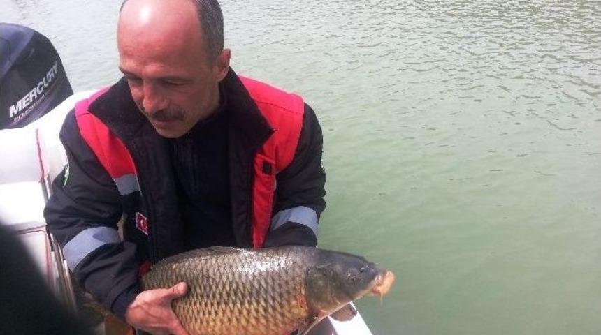 Su &Uuml;r&uuml;nleri Denetimleri