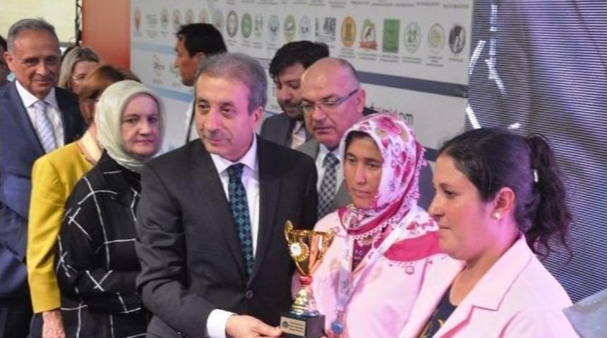 &Ouml;demiş&rsquo;te S&uuml;t Bayramı Başladı