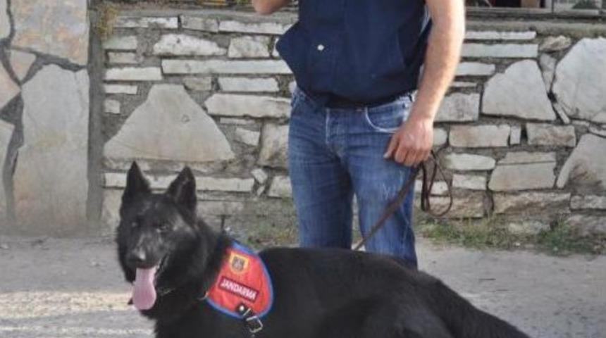 Jandarmadan Hint Keneviri Operasyonu