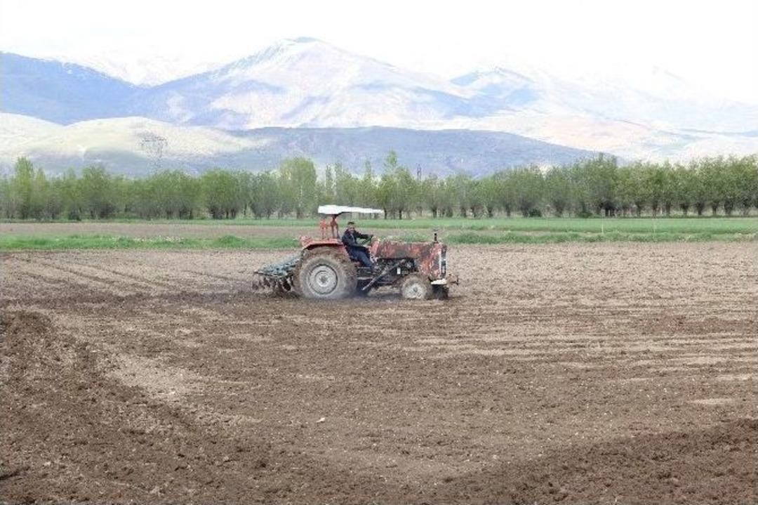 Tarlalarından &Ccedil;ıkan Su Mahsullerini &Ccedil;&uuml;r&uuml;tt&uuml;