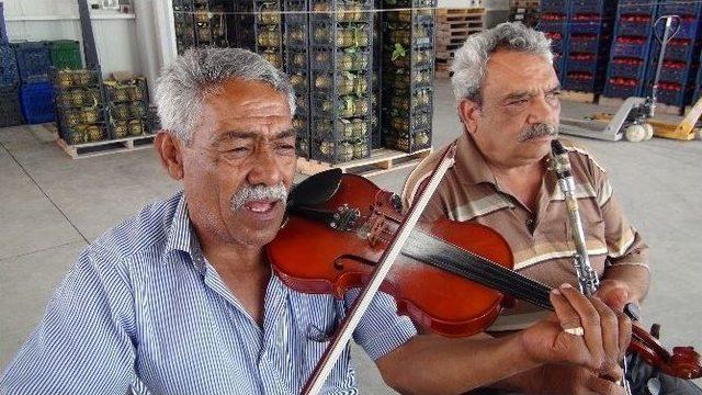 (özel Haber) Muhalefet Liderlerine Davullu Zurnalı Gönderme