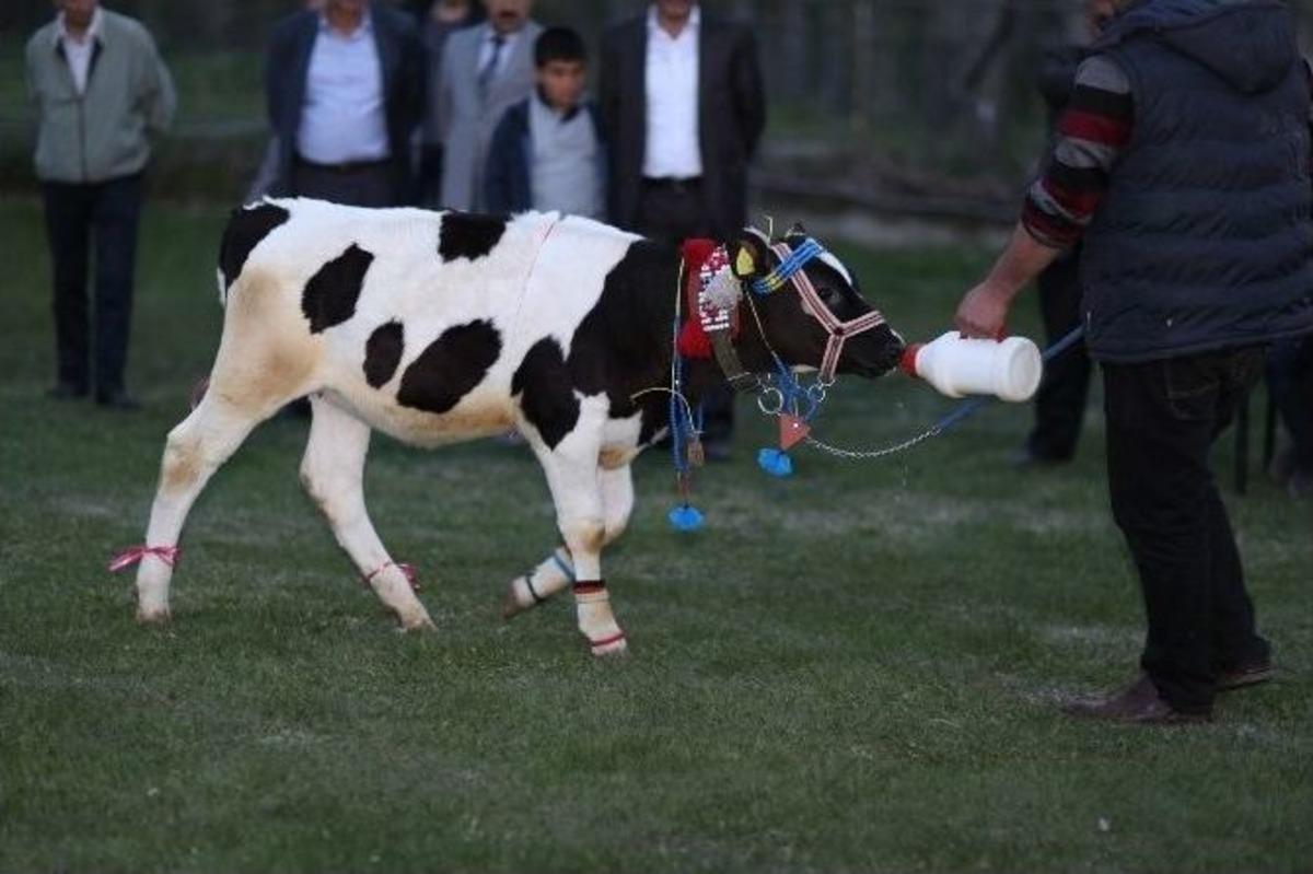 &Ccedil;ermik Festivali Dolu Dolu Ge&ccedil;iyor&hellip;