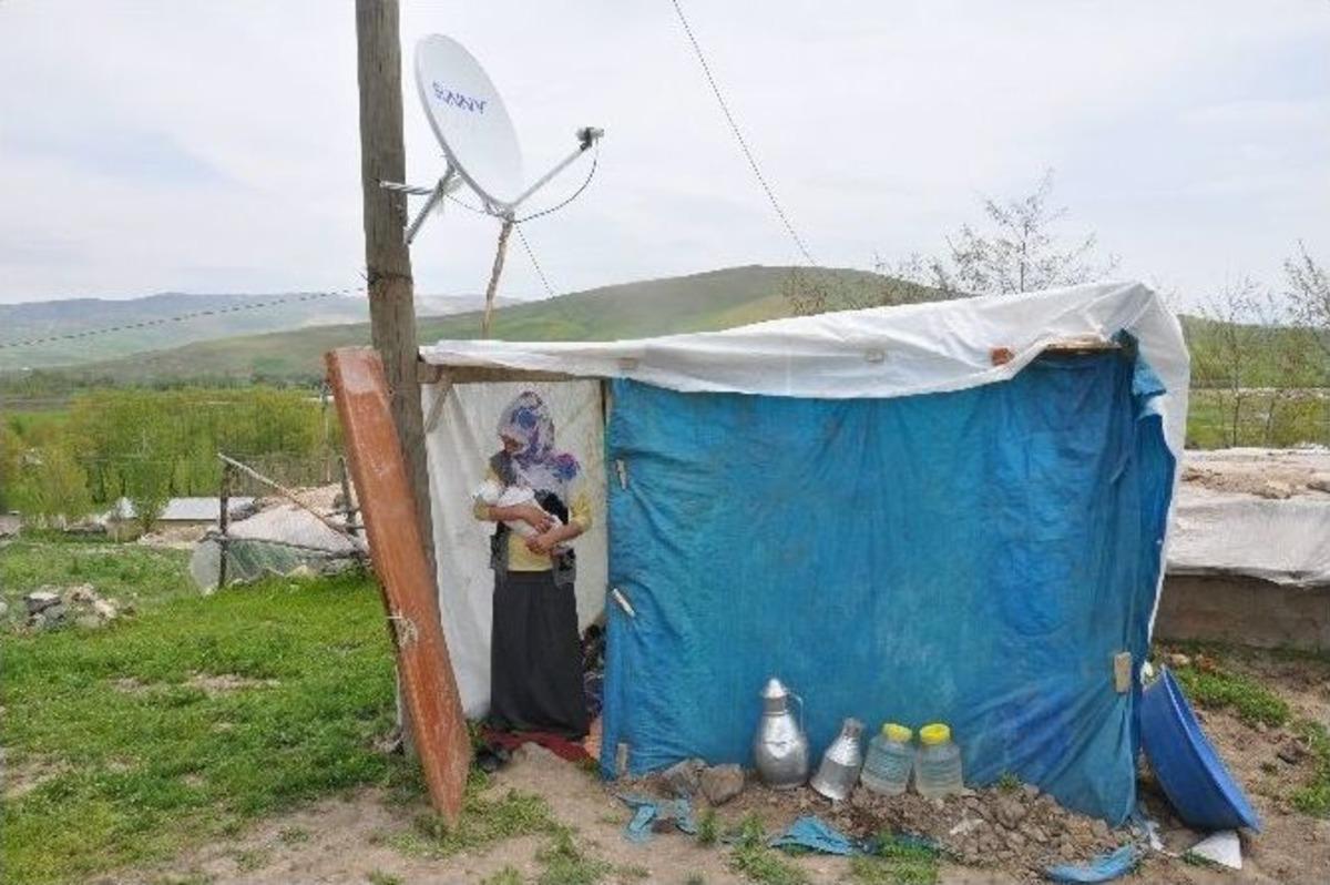 (&ouml;zel Haber) En Talihsiz Anne