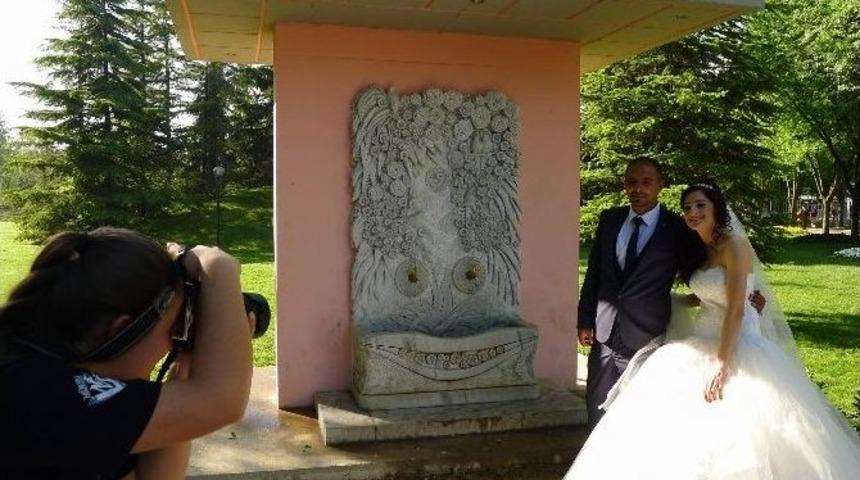 Aşkın &Ccedil;eşmesi Botanik Park&rsquo;ta