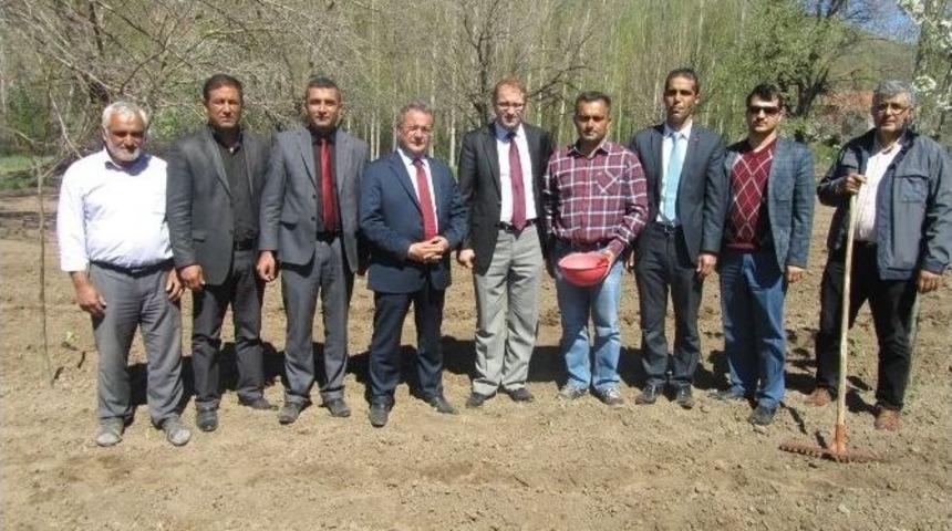 Kuluncak&rsquo;ta Chia Tohumunun Ekimi Ger&ccedil;ekleştirildi