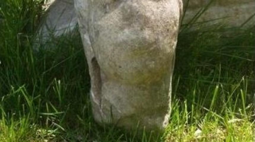 Tarlasını S&uuml;rerken Tarihi Eser Buldu