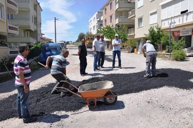 Ayvalık Belediye Başkanı Gençer Yol Onarım Çalışmalarını İnceledi