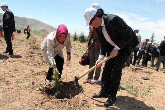 Şehit Savcı Kiraz İçin Hatıra Ormanı Oluşturuldu