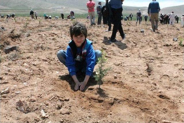 Şehit Savcı Kiraz İçin Hatıra Ormanı Oluşturuldu