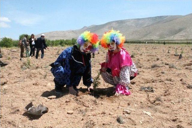 Şehit Savcı Kiraz İçin Hatıra Ormanı Oluşturuldu