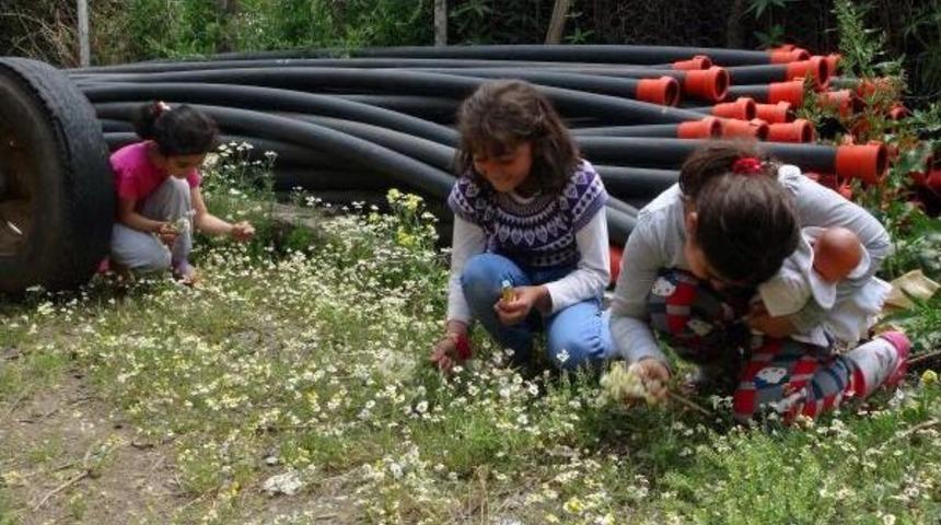 Elazığ'da Sulama Birliği Iş&ccedil;ileri Yeniden Grev Başlattı