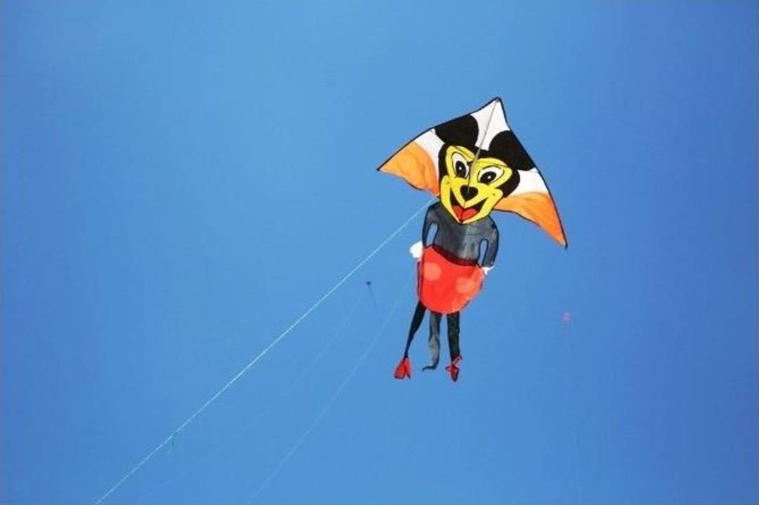 Nil&uuml;fer&rsquo;de G&ouml;ky&uuml;z&uuml; U&ccedil;urtmalarla Renklendi