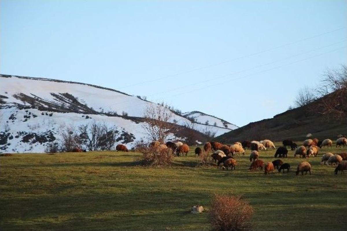&Ccedil;&ouml;z&uuml;m S&uuml;reci Dağlara Huzur Getirdi