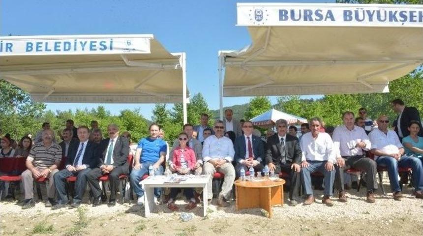 Kestel&rsquo;de Cirit G&ouml;sterileri Nefesleri Kesti