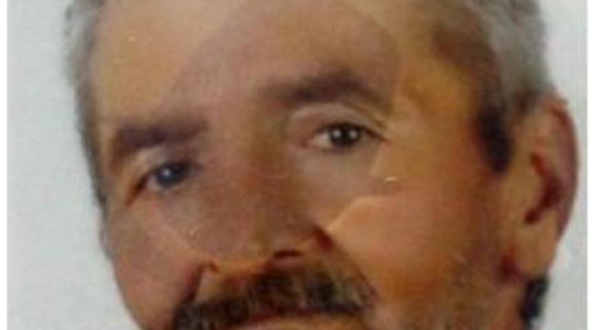 Su I&ccedil;irmek Istediği At &Ouml;l&uuml;m&uuml;ne Neden Oldu