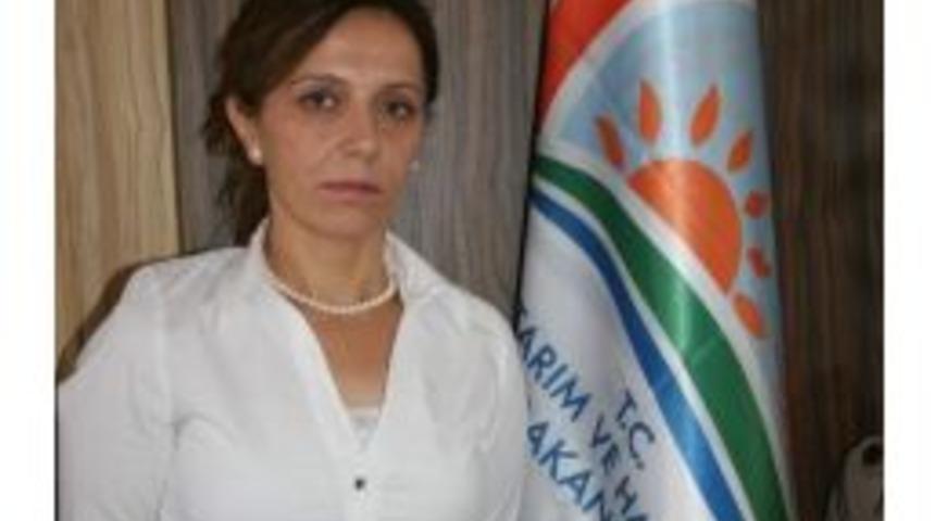 Afetten Zarar G&ouml;ren &Ccedil;ift&ccedil;ilerin Bor&ccedil;ları Ertelenecek