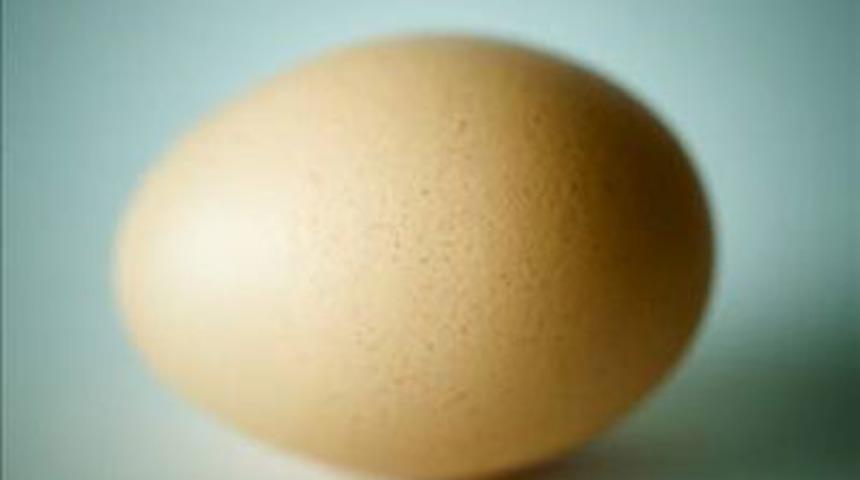 Sofraların vazgeçilmezi yumurta
